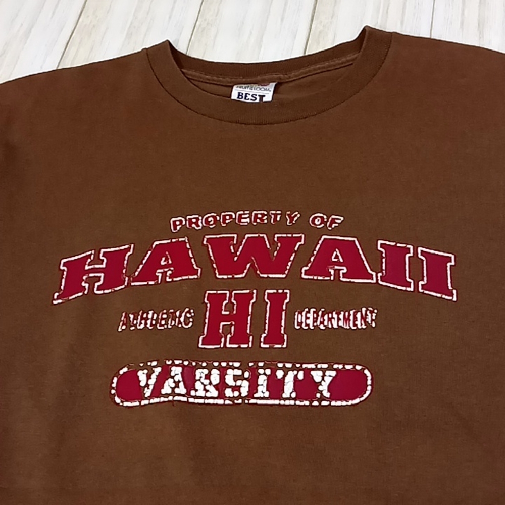Hawaii Variety Distressed Brown Tshirt Size L - Picture 1 of 12